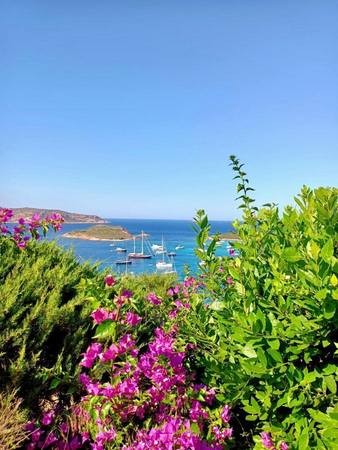 San Teodoro Punta Est Delizioso Monolocale Vista Mare Apartment Exterior foto